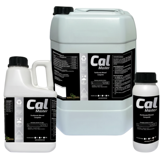 CAL MASTER